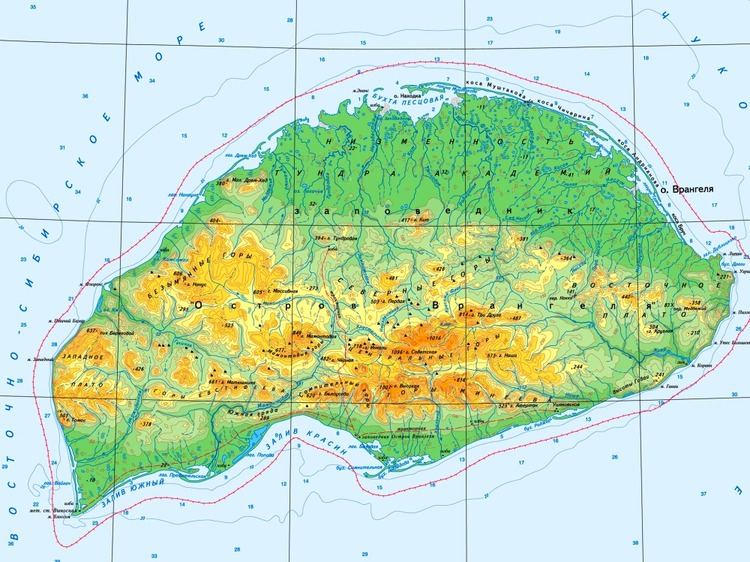 Русско-американская борьба за остров Врангеля