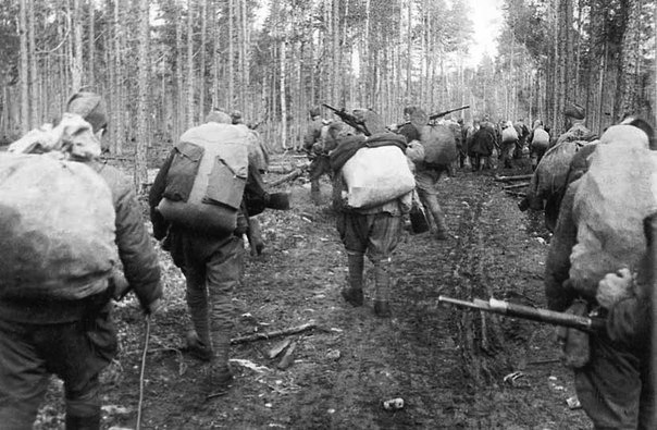 Настоящие хозяева Карелии. Как партизаны громили финскую армию