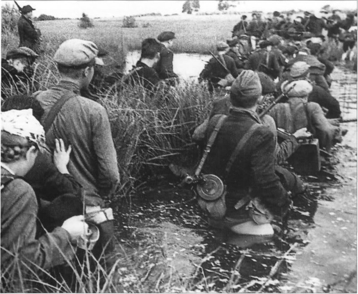Сарненский крест на фашистах. Как партизаны помогли Сталинграду